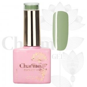 Charme Gel Color 111 New