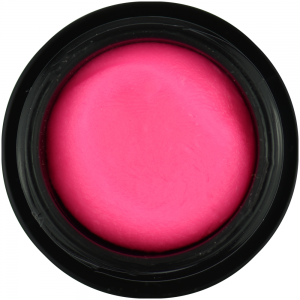 4D Plasti Gel (Pink)