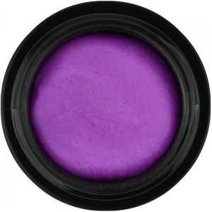 4D Plasti Gel (Purple)